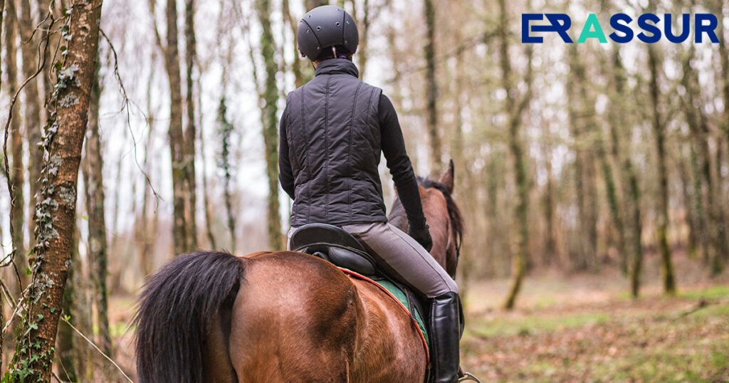 Cavalier sur un cheval en forêt